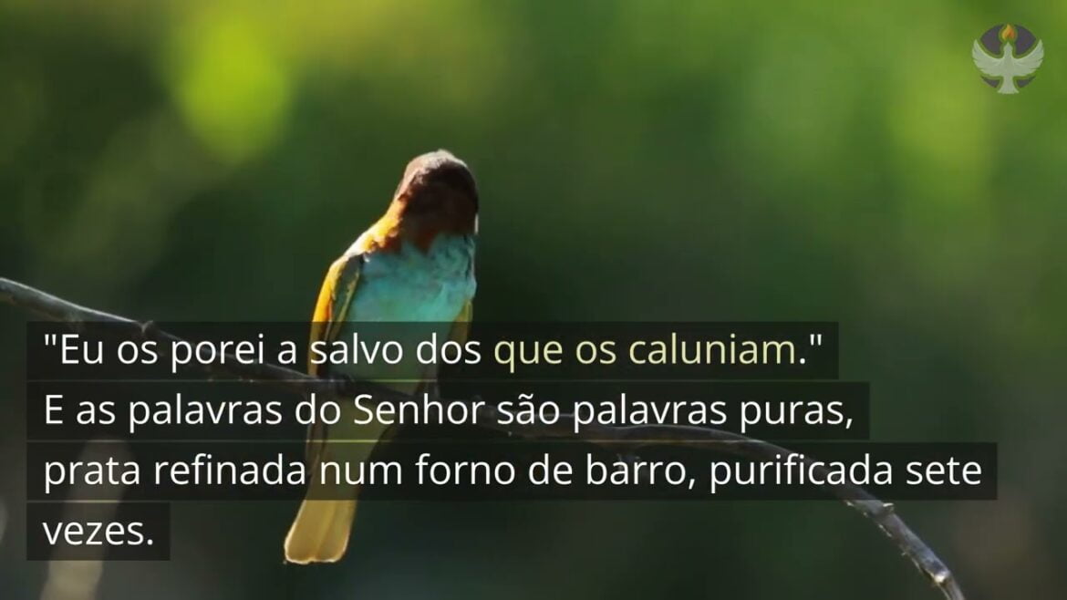 Salmo 12 -  Encontre Esperança em Tempos de Desafio