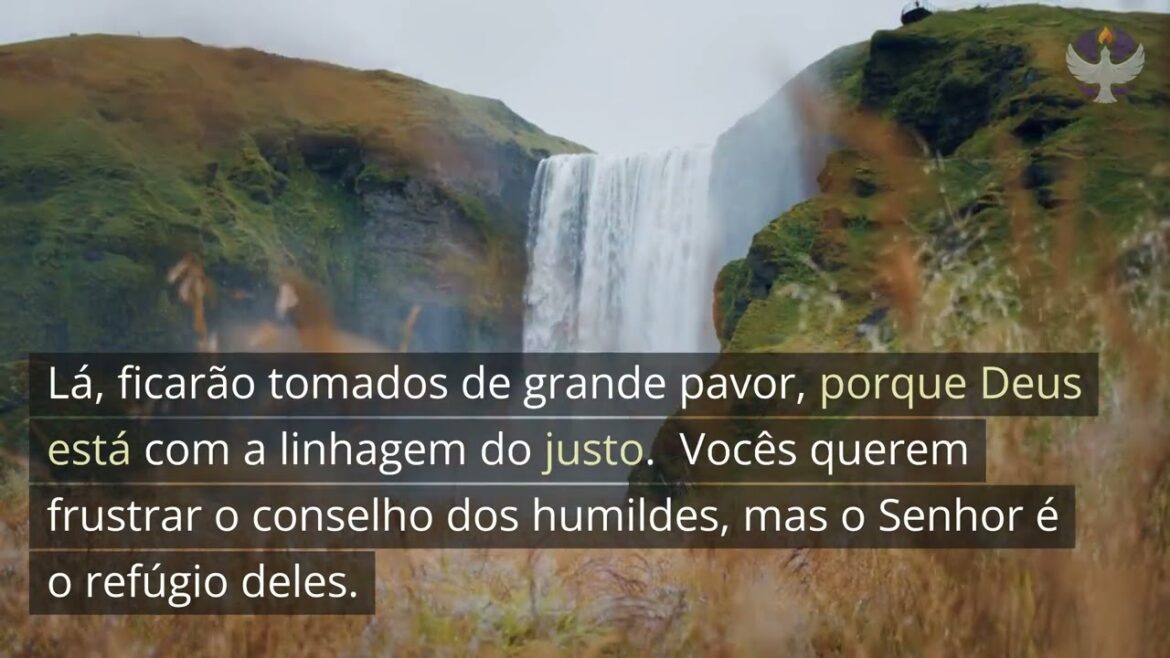 Salmo 14 - Encontre Luz na Escuridão