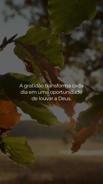 “Deem graças em todas as circunstâncias, pois esta é a
